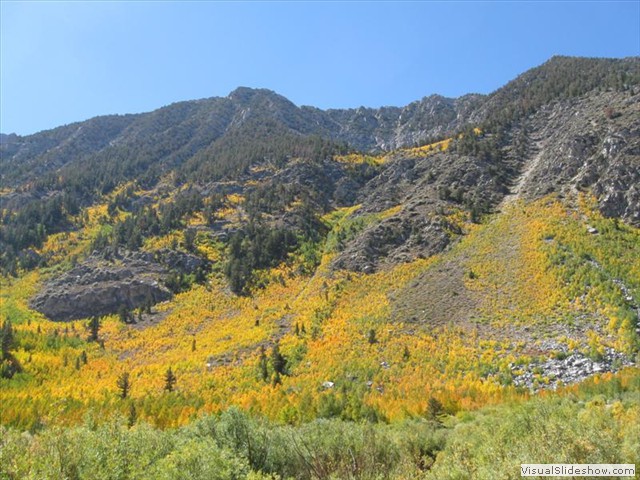 CA: Eastern Sierra Fall Colors